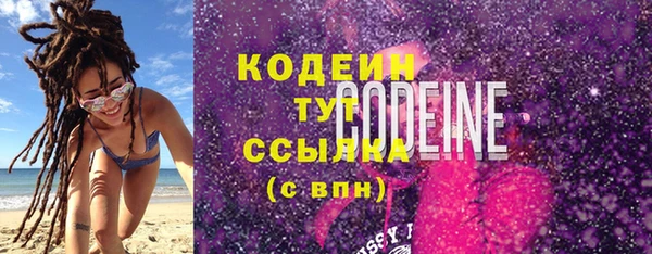 шишки Кодинск