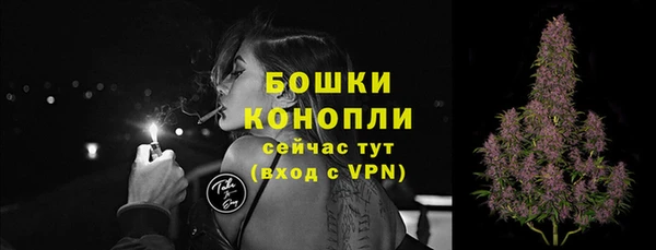 дживик Козловка