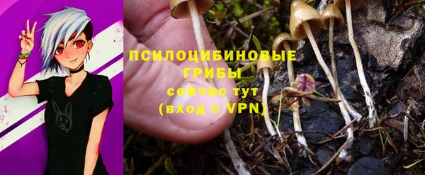 СК Краснотурьинск
