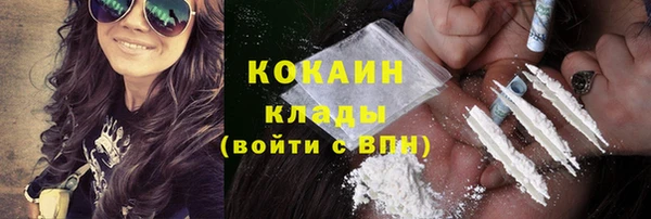 дживик Козельск