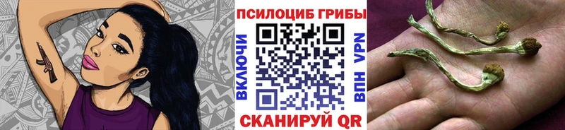 Псилоцибиновые грибы ЛСД  Красновишерск 